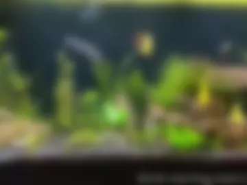 booker_baxton photo 6