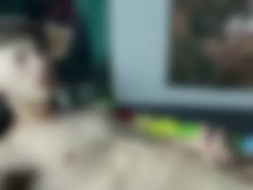borisviper webcam preview