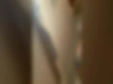 borkfighter live webcam preview
