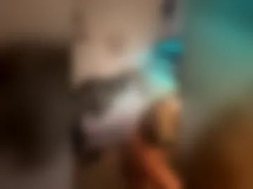 both_holes_both_daddies live webcam preview