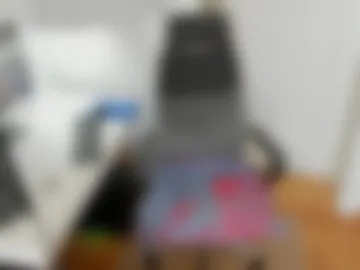 boycatcher live webcam preview