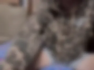 boypussysowet photo 4