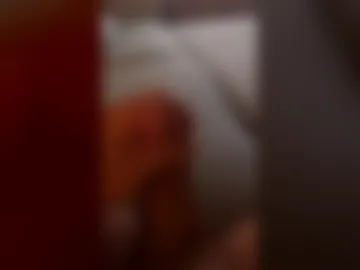 braloc09 live webcam preview