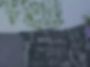 bravo_maestro photo 2