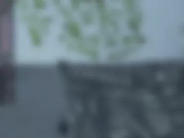bravo_maestro webcam preview