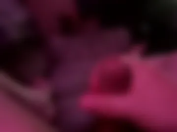 brdmkr live webcam preview