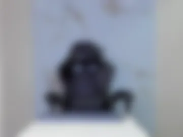 bridgetrodriguez photo 5