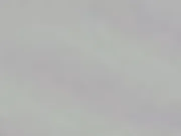 brightdarknesss live webcam preview