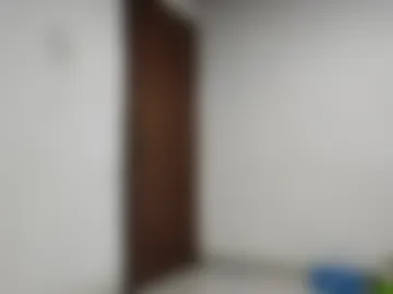 brihhx webcam preview