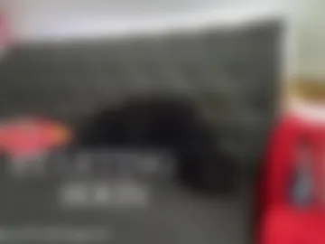 brodybiggs live webcam preview