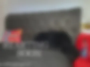 brodybiggs webcam preview