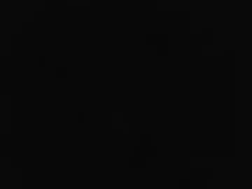 bruc12168 webcam preview
