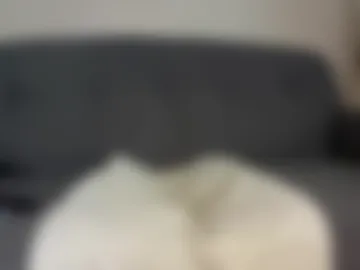 bruceishorny_ webcam preview