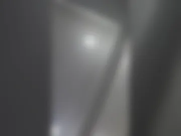 btbbsiltb4 live webcam preview