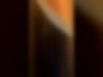 btchpls1000 webcam preview