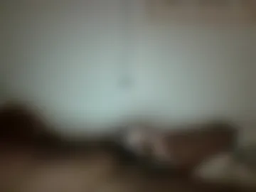 buda901930 live webcam preview