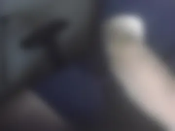 bullen2004 live webcam preview