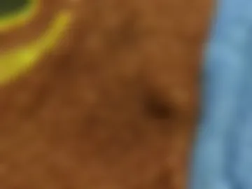 bunny_rose0 live webcam preview