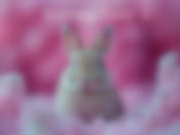 bunnydollstella photo 9