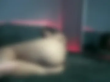 bunnyela photo 4