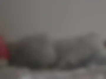 bunnyexotic webcam preview