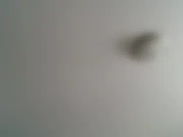 bunnyredone live webcam preview