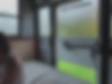 busbuddies photo 2