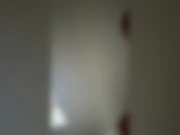 bvvwully webcam preview