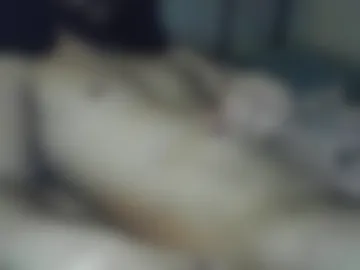 byraso live webcam preview