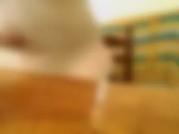 bzxxbzh live webcam preview