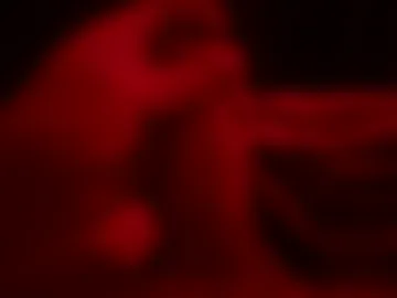caball0x live webcam preview