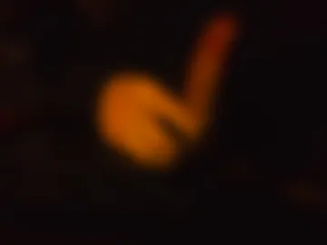 cadendavis567 photo 3