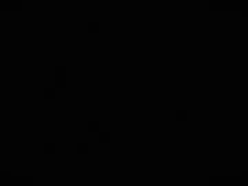 camaleon692021 photo 6