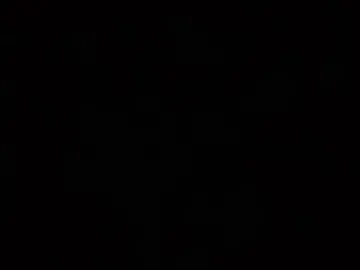 camaleon692021 photo 4