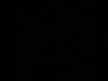 camaleon692021 photo 3