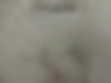 cameo80 live webcam preview