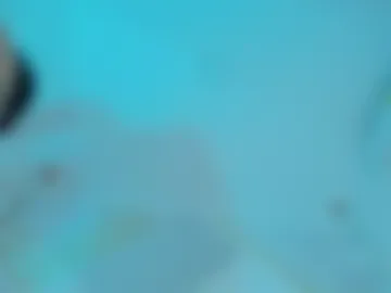 camilaa_smith_ webcam preview