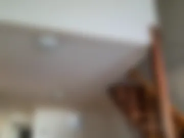 caravibugue photo 2