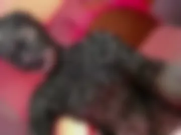 carin_slut webcam preview