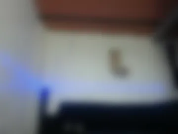 carlo_yates27 webcam preview