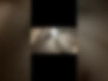 carpetmunchers photo 3