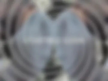 cashmastergrey webcam preview
