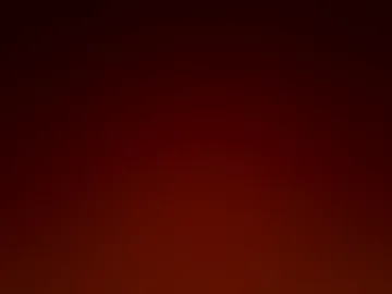 cat_fox23 webcam preview