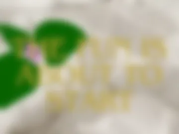catmintlush photo 2