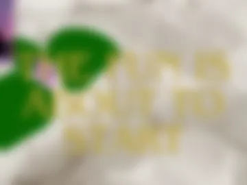 catmintlush photo 2