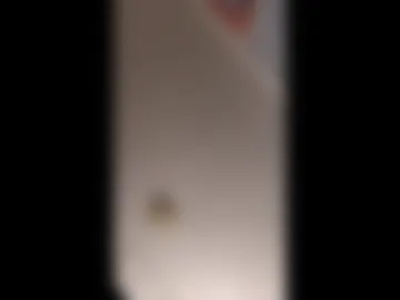 chase1230069 live webcam preview