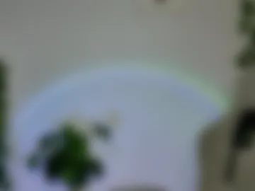 chillsnail_bro photo 6