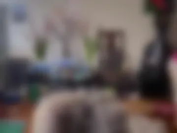 chiloschista photo 9