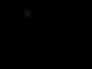 chizbusiness live webcam preview