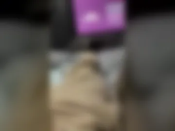 chizyzz live webcam preview